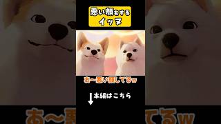悪い顔をするイッヌ　#ゲーム実況 #ミヤトカ #MyLittlePuppy