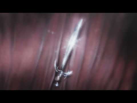 The Hills - Courting