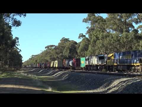 7SM2 Nrs 28 / 116 & LDP004 at Locksley 22.5.2022