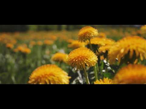 R2RS I Ritvars - Pavasaris (official video)