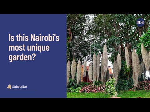 Is this Nairobi's most unique garden?