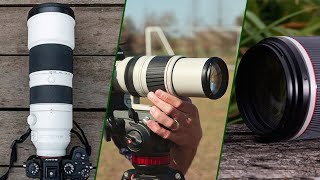 Top 10 Lenses for Wildlife Photography in 2025 (Best Sellers)