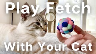 Teach your CAT to play FETCH! Simple step-by-step cat training for beginners