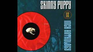 Skinny Puppy - Dig It (12" Version)