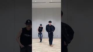 Cover art for Maestro Dance break