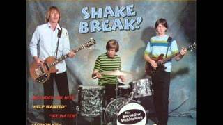 The Swingin&#39; Neckbreakers  - BrownEyed Girl