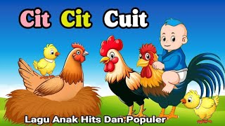 Download lagu Lagu Anak Anak - Cit Cit Cuit - Aniasi Burung Ayam Bebek Lucu - Lagu Anak Populer mp3 Download lagu Lagu Anak Anak - Cit Cit Cuit - Aniasi Burung Ayam Bebek Lucu - Lagu Anak Populer mp3