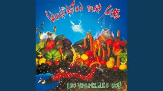 Music video thumbnail preview for Red Neck by Washington Dead Cats
