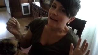 Erica America by Jens Lekman FEATURING Mildred Bicks