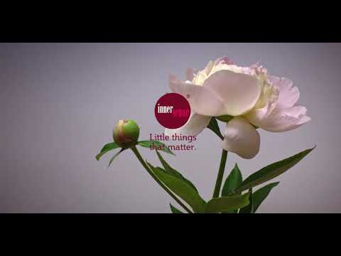 Inner Sense - Organic Lingerie