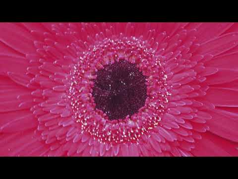 Chouette MAMA - Alaiki mini salam