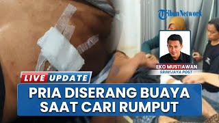 Cari Rumput Untuk Ternak, Pria di Musi Rawas Diserang Buaya: Alami Luka Serius pada Kaki dan Perut