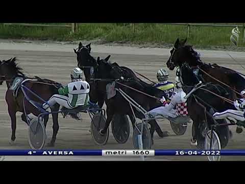 Aversa trotto 16 Aprile 2022 - 4° Corsa