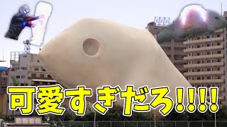 【15話感想】今年1番かわいい怪獣決まる。【ウルトラマンブレーザー】