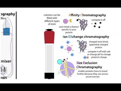 Overview of recombinant protein expression, purification, & structural biology