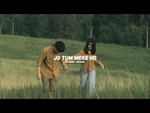 Jo Tum Mere Ho (Slowed + Reverb) Anuv Jain | Ameen Fahim