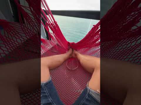 Thumbnail for Chill Vibes on Scarlet Lady #flowerboynextdoor #caribbean #bimini #chill #chillvibes #holiday