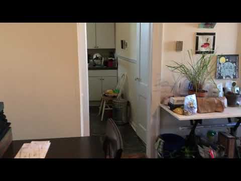 2826 West Grace Street - Video 2 of 2