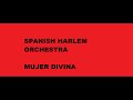Mujer divina   Spanish Harlem Orchestra