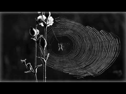 Parasite Movie Soundtrack | The Belt of Faith (Parazit Filmi)