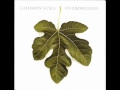 Caedmon's Call - There Is A Reason