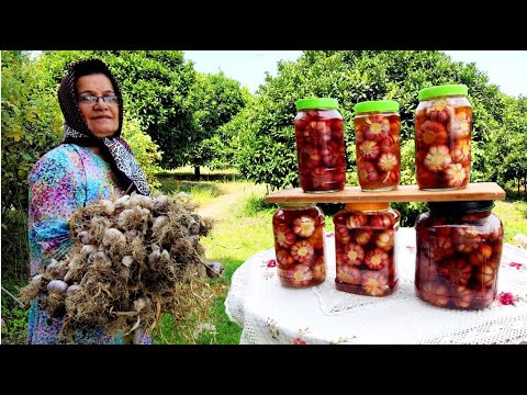 , title : 'IRAN Village Life | 7-year-old Pickled Garlic |Planting, Harvesting And Pickling Organic Garlic | 4K'