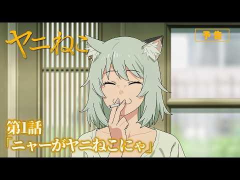 Chainsmoker Cat