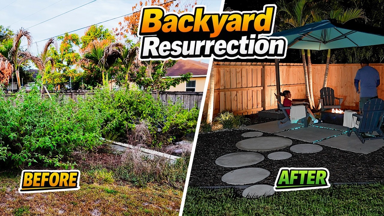 I abandoned My Yard for 1,460 Days  Now It's Unrecognizable
