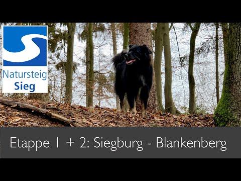 Natursteig Sieg mit Hund - Etappe 1 und 2: Von Siegburg über Hennef nach Blankenberg (22 km)