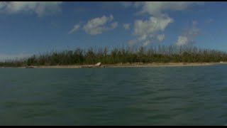 Christmas Tree Island