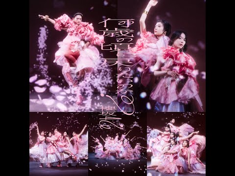 Sakurazaka46 Kokoro no kagee (心の影絵) - sub español