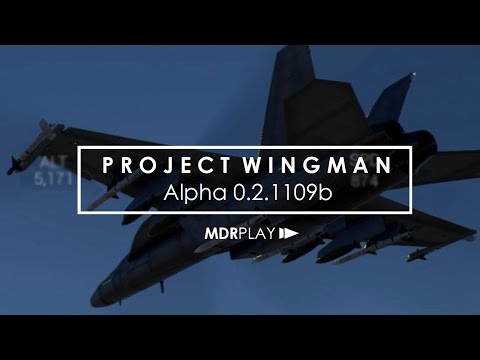 Project Wingman | Alpha 0.2.1109b Demo Gameplay