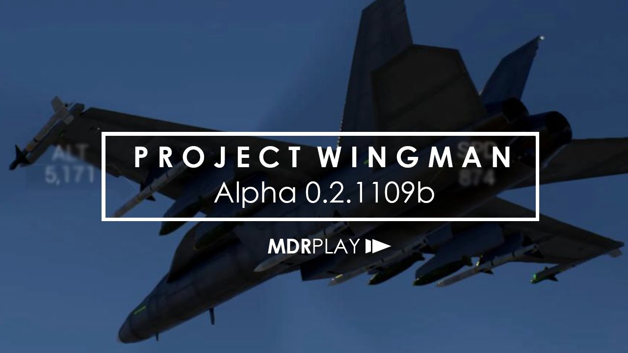 Project Wingman | Alpha 0.2.1109b Demo Gameplay