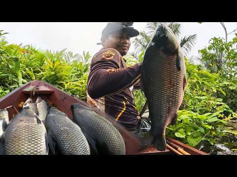 NÃO ASSISTA ESSA PESCARIA... Se Você Nunca Pescou com um Ribeirinho!