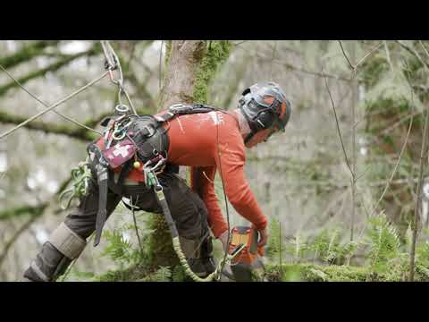 592 XP® Bram Granger