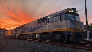 Up 5PM9 SCT freight with CF4431 CSR021 CSR023 CSR009 at sunset at Gheringhap loop 4/5/2025
