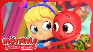 Morphle's Pet Adventure! | Available on Disney+ and Disney Jr