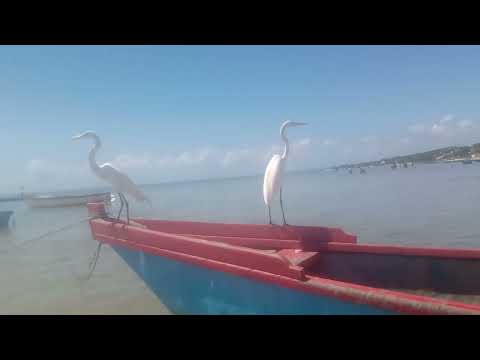 Nosso sábado na praia das Garças  Saubara Bahia 2026