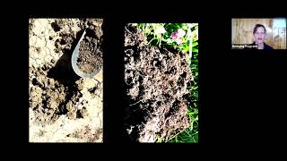 &quot;Fire recovery: soil impacts and actions&quot;