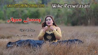 Download lagu AYAM LANANG Voc. Wike Perwitasari ( Lagu Hits 2019 ) Lirik mp3 Download lagu AYAM LANANG Voc. Wike Perwitasari ( Lagu Hits 2019 ) Lirik mp3