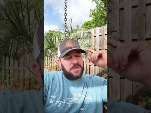 Well, Would Ya Look At That… #shortsfeed #langley #congress #shortsvideo Thumbnail