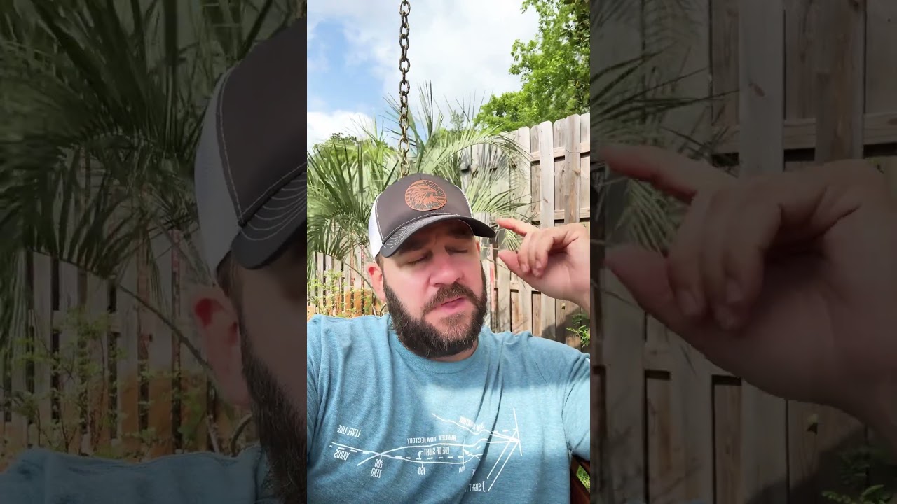 Well, Would Ya Look At That… #shortsfeed #langley #congress #shortsvideo