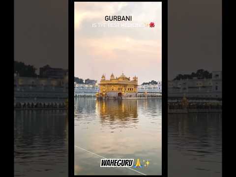 Golden temple Amritser 🙏❤️|Harmandir sahib| #goldentemple #harmandirsahib #waheguru #shorts #viral
