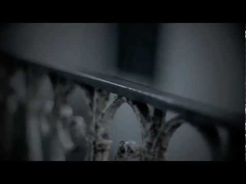 Tony Arca e Raffaello Se non ti ama Video Ufficiale HD   YouTube