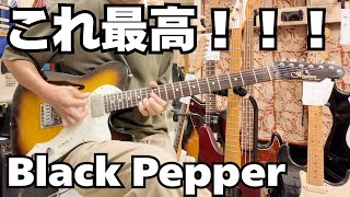 Video thumbnail for 【funk ojisan】FREEDOM CUSTOM GUITAR RESEARCH Black Pepper 2008年製 by 小川智也