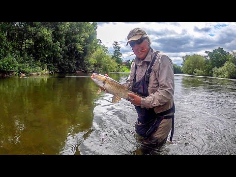 Trotting the Wye for chub and barbel