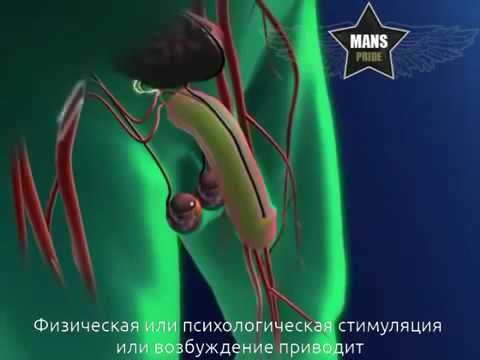 Узи суставов в москве Рецепт желе для суставов