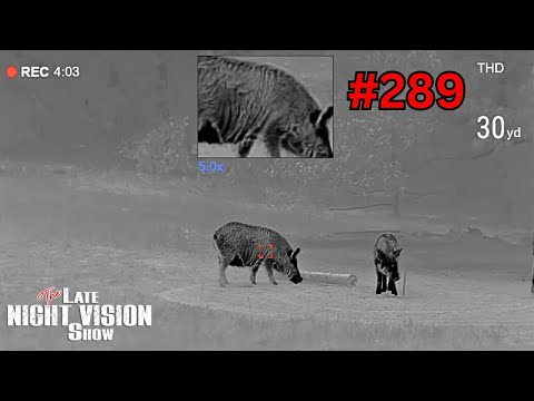 Pulsar Telos LRF XQ35 Thermal Monocular- Full Review! 