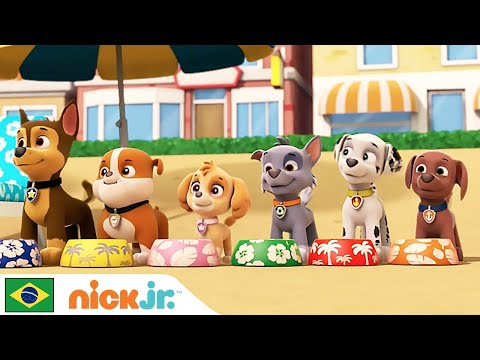 Capa de Patrulha Canina | Diversão no escorregador | Nick Jr. em Português