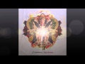 Descent Of Man ~ Conditions with Lyrics 